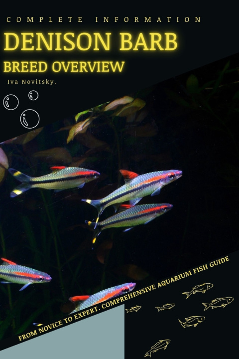 Книга Denison Barb Iva Novitsky