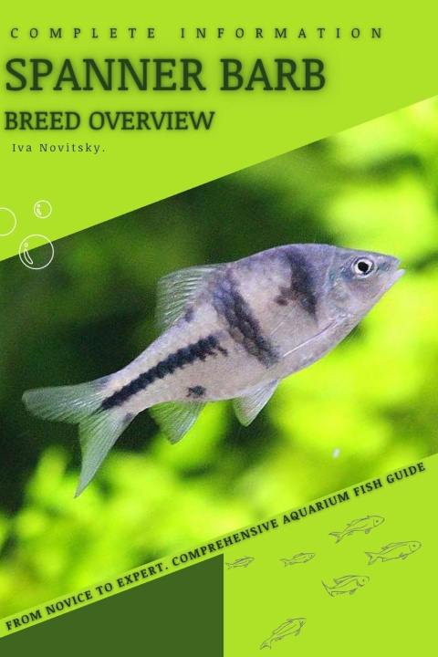 Kniha Spanner Barb Iva Novitsky