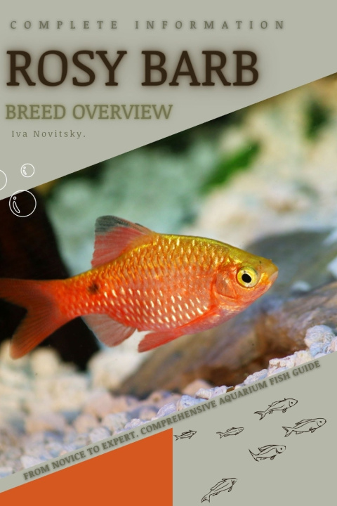 Kniha Rosy Barb Iva Novitsky