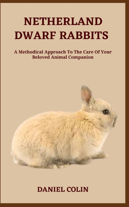 Kniha NETHERLAND DWARF RABBITS DANIEL COLIN