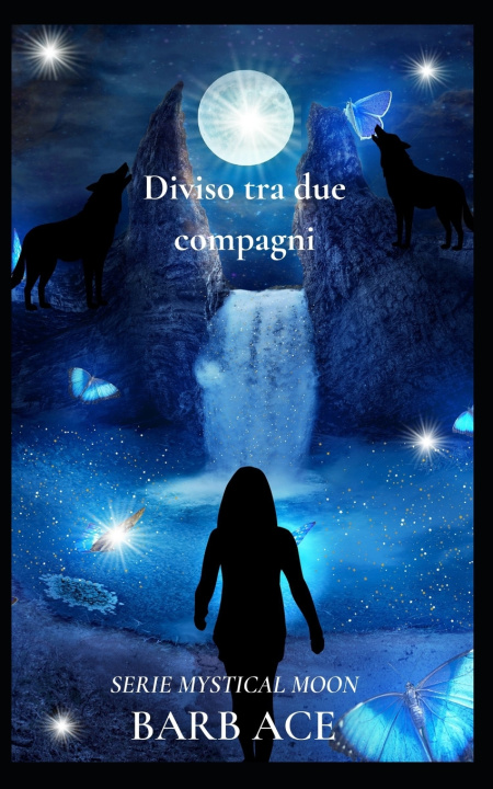 Libro Diviso tra due compagni Barb Ace