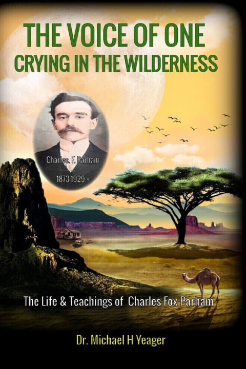 Kniha THE VOICE OF ONE CRYING IN THE WILDERNESS Michael H Yeager