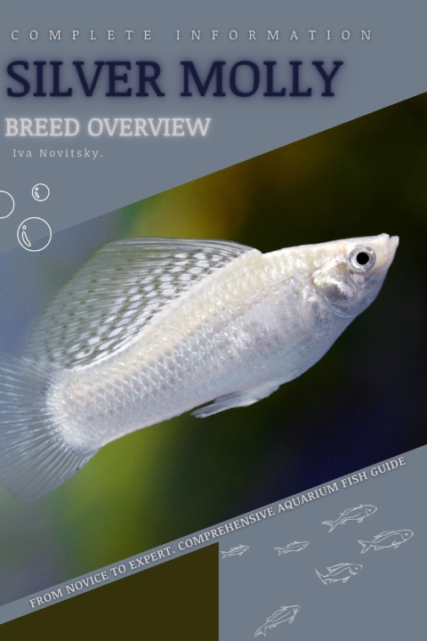Kniha Silver Molly Iva Novitsky