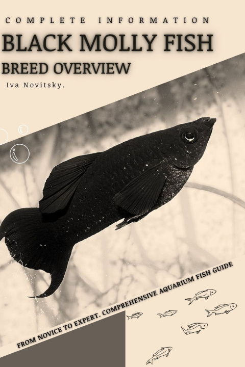 Kniha Black Molly Fish Iva Novitsky