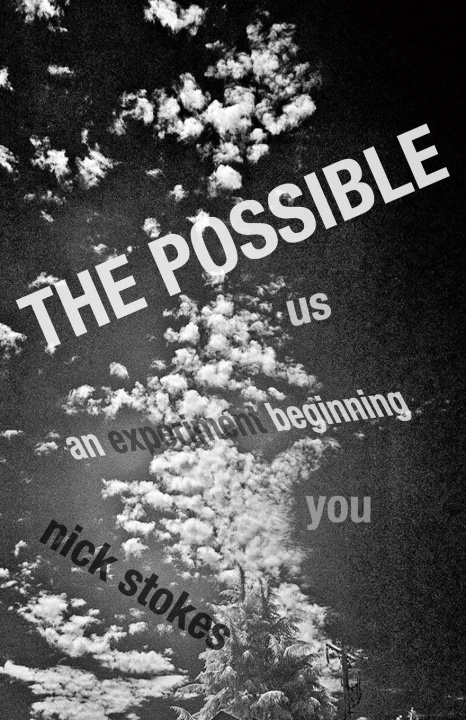 Book The Possible Nick Stokes