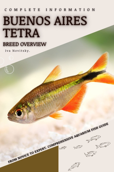 Kniha Buenos Aires Tetra Iva Novitsky