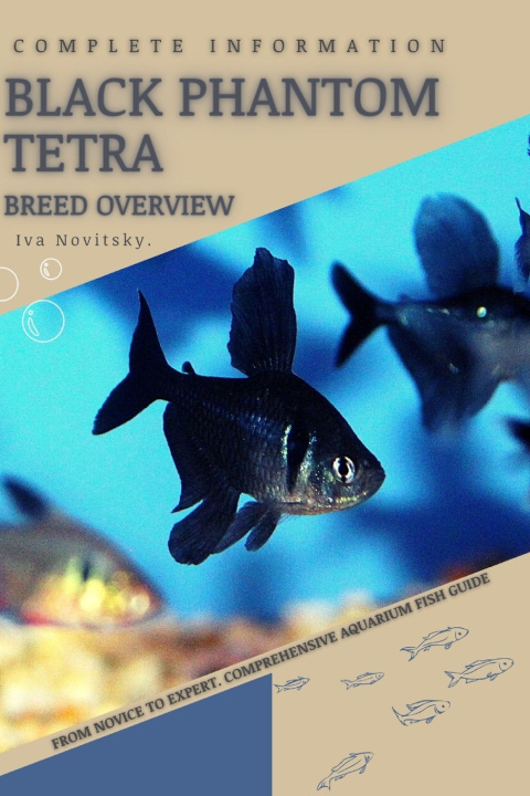 Boek Black Phantom Tetra Iva Novitsky
