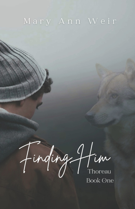 Kniha Finding Him Mary Ann Weir