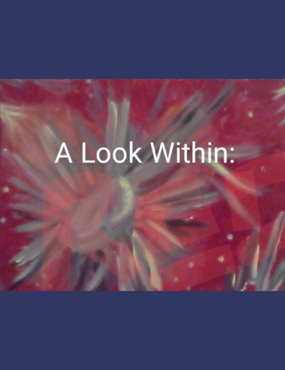 Kniha A Look Within Marina Dobrosavljevic