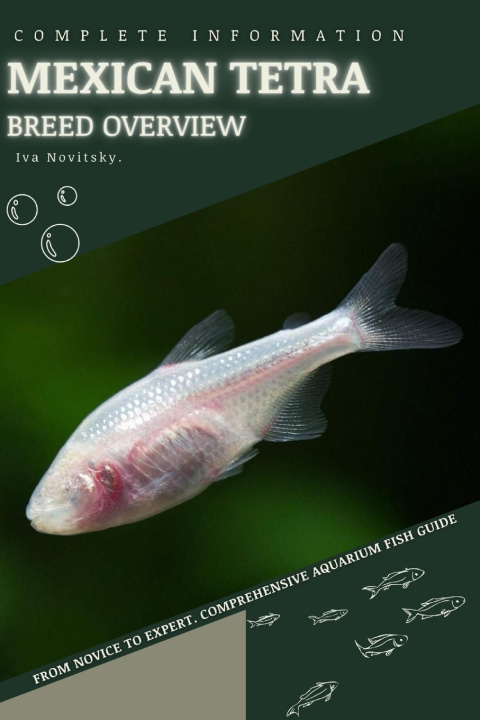 Kniha Mexican Tetra Iva Novitsky