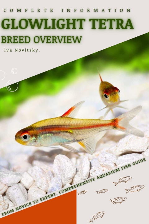 Kniha Glowlight Tetra Iva Novitsky