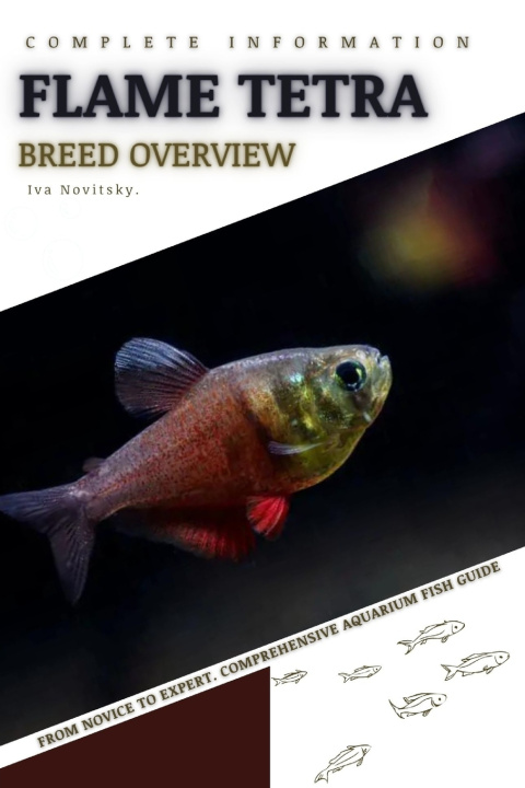 Kniha Flame Tetra Iva Novitsky