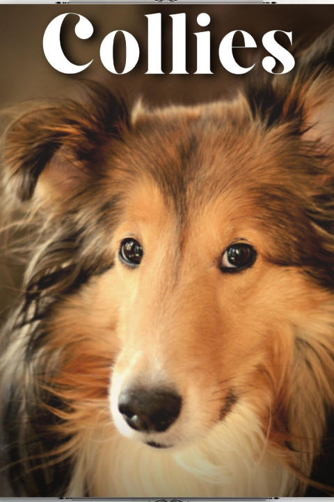 Book Collies Nina Pustova