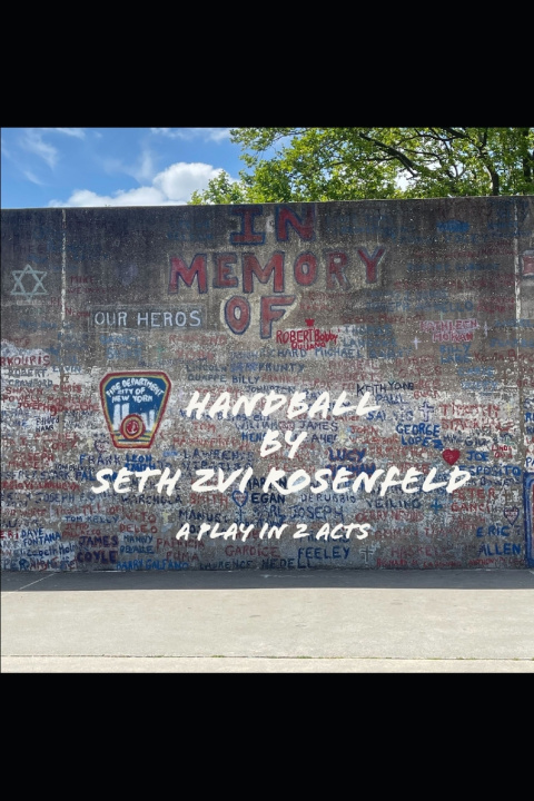 Kniha Handball Seth Zvi Rosenfeld