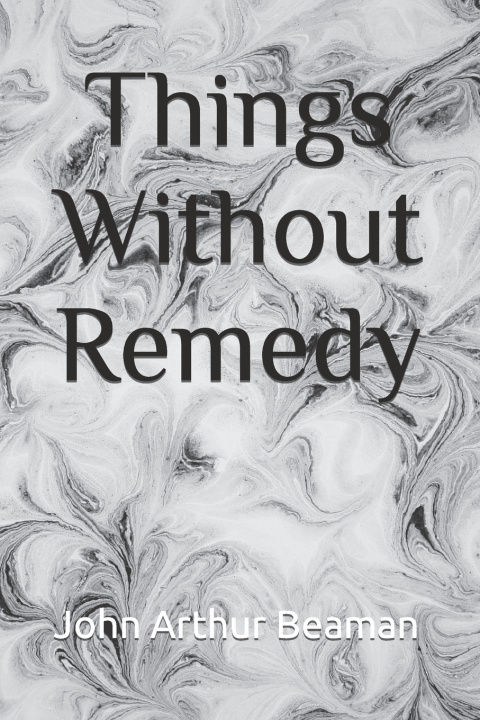 Kniha Things Without Remedy John Arthur Beaman