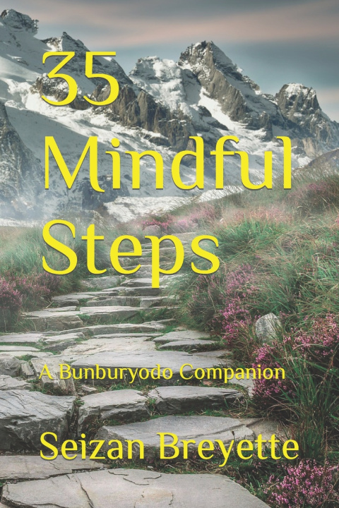 Kniha 35 Mindful Steps Sumako Matsuda-Breyette