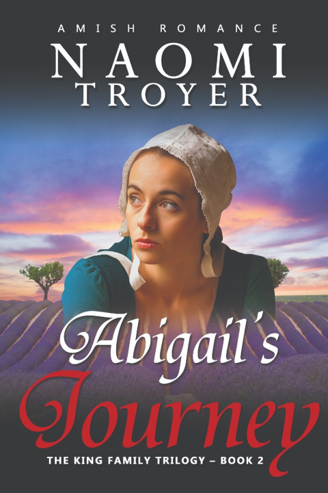 Kniha Abigail's Journey Naomi Troyer