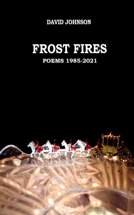 Kniha FROST FIRES David Johnson