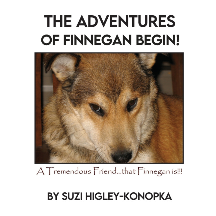 Kniha The Adventures of Finnegan Begin! Suzi Higley-Konopka