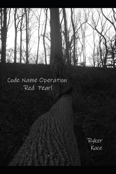 Kniha Code Name Ryker Kace