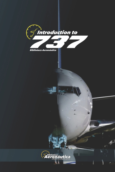 Kniha Introduction to 737 Facundo Conforti