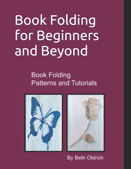Knjiga Book Folding for Beginners and Beyond Beth Dounane-Oldrich