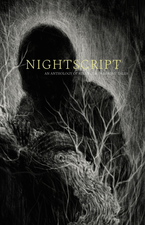 Knjiga Nightscript Steve Rasnic Tem