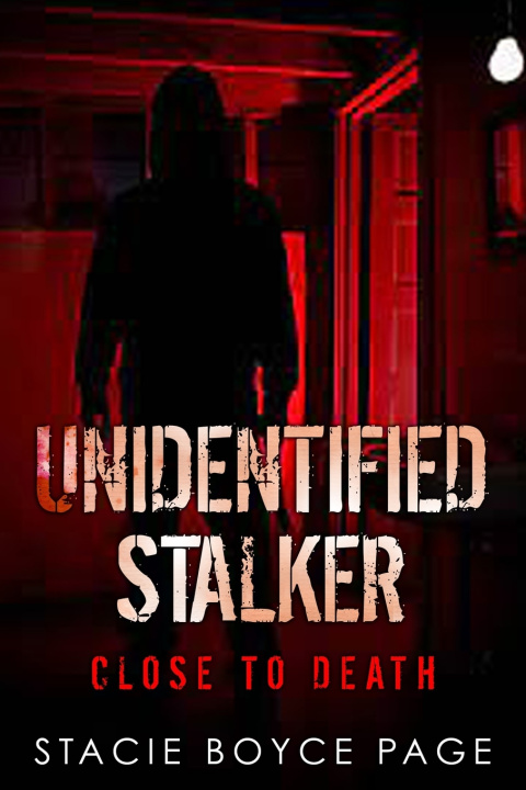 Kniha Unidentified Stalker Stacie Boyce Page
