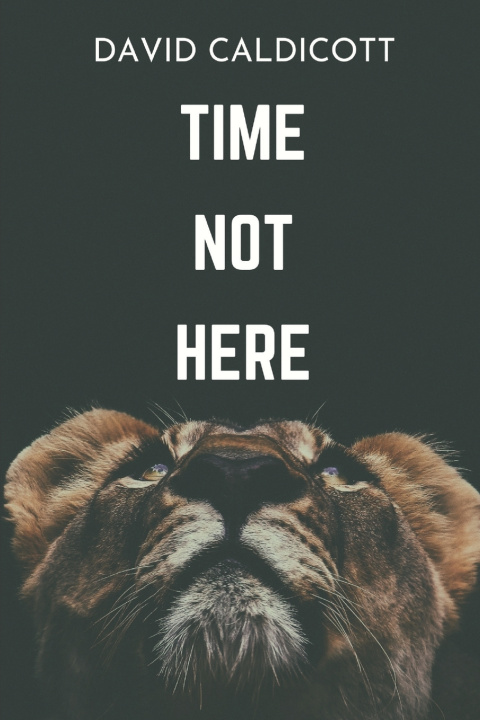 Kniha Time Not Here David Caldicott