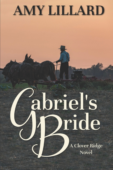 Kniha Gabriel's Bride Amy Lillard