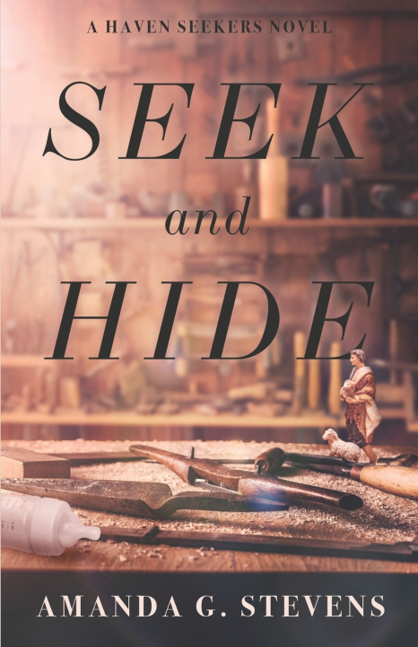 Kniha Seek and Hide Amanda G Stevens