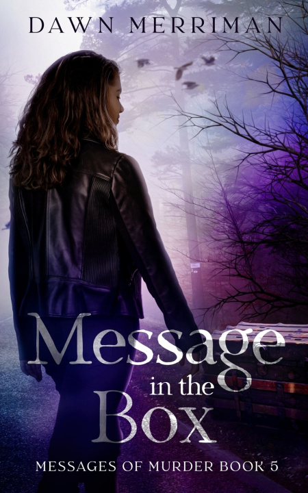 Kniha MESSSAGE in the BOX Dawn Merriman