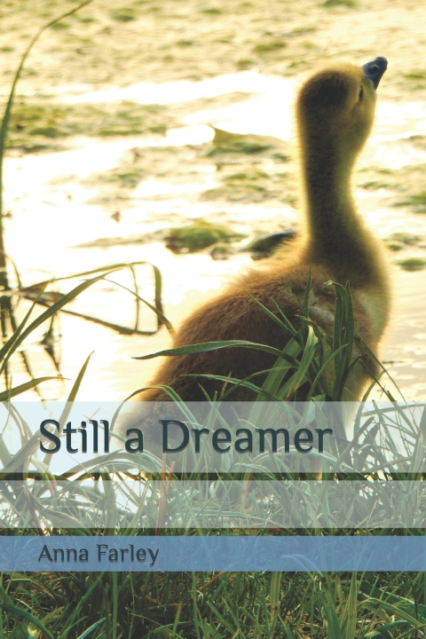 Kniha Still a Dreamer Anna Farley