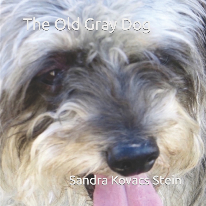 Kniha The Old Gray Dog Sandra Kovacs Stein