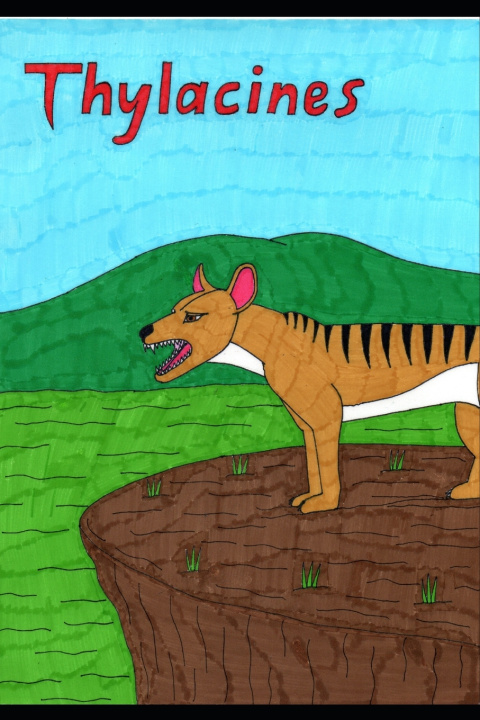 Kniha Thylacines Matthew Sheather