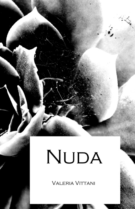 Kniha Nuda Valeria Vittani