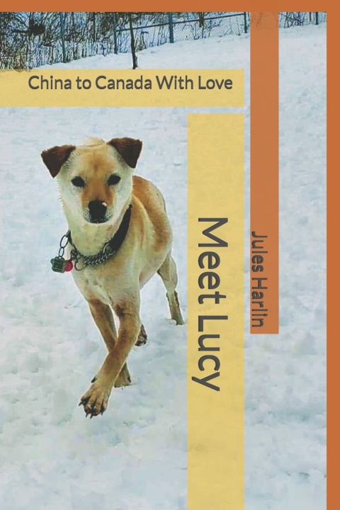 Kniha Meet Lucy Jules Harlin