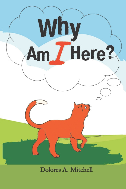 Kniha Why Am I Here? Dolores A Mitchell