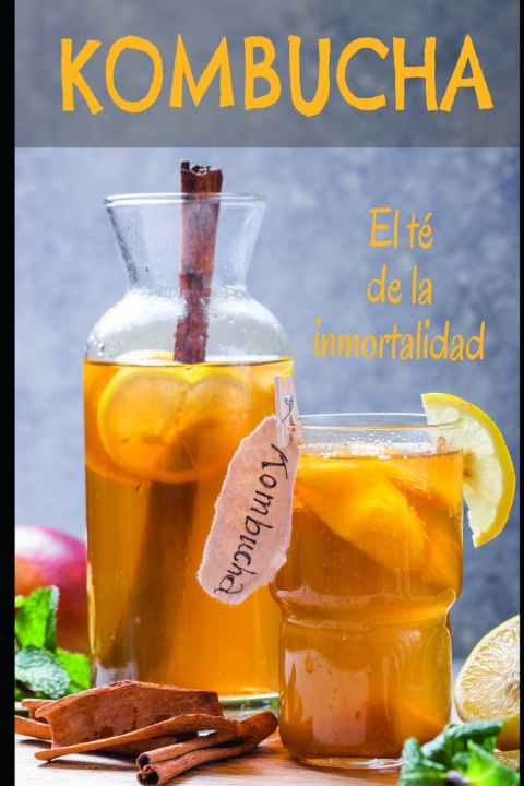 Kniha Kombucha Vicente S.