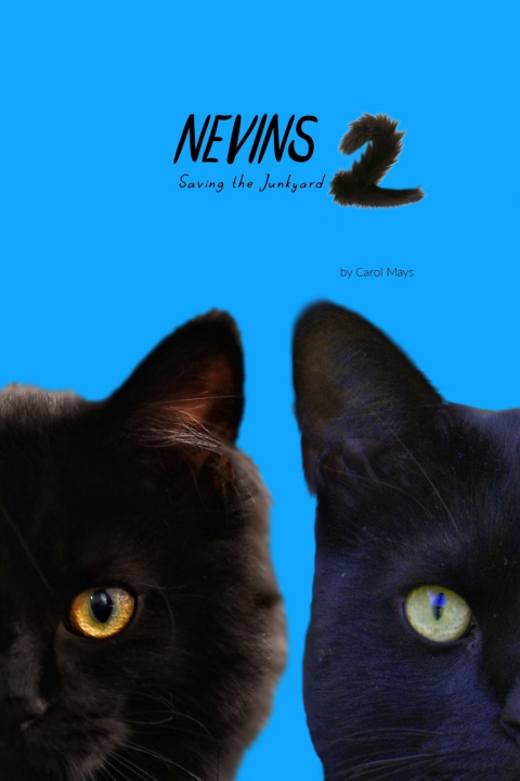 Kniha Nevins 2 Carol M Mays