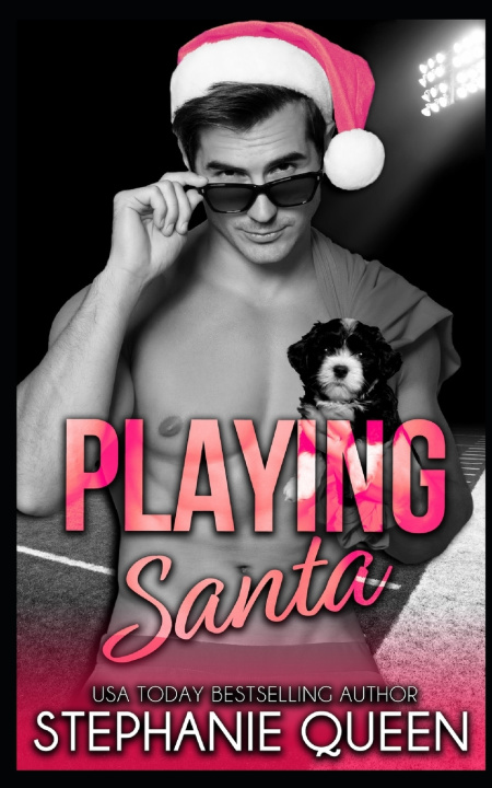Kniha Playing Santa Stephanie Queen