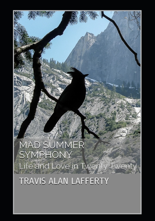 Kniha Mad Summer Symphony Travis Alan Lafferty