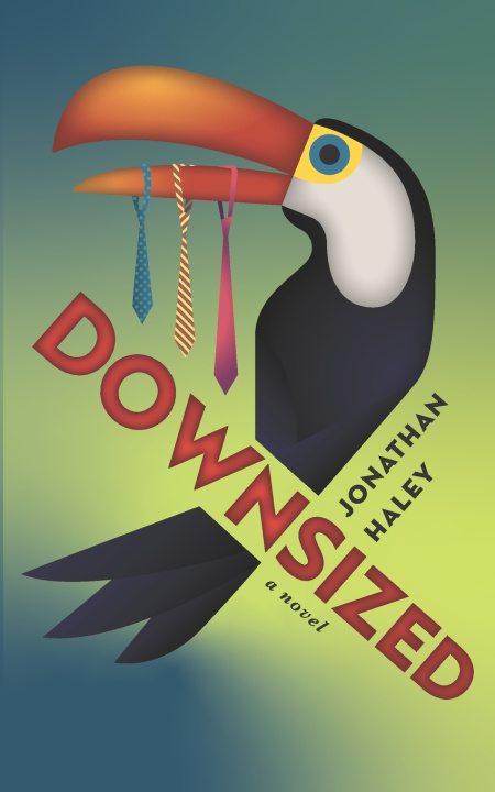Kniha Downsized Jonathan Haley
