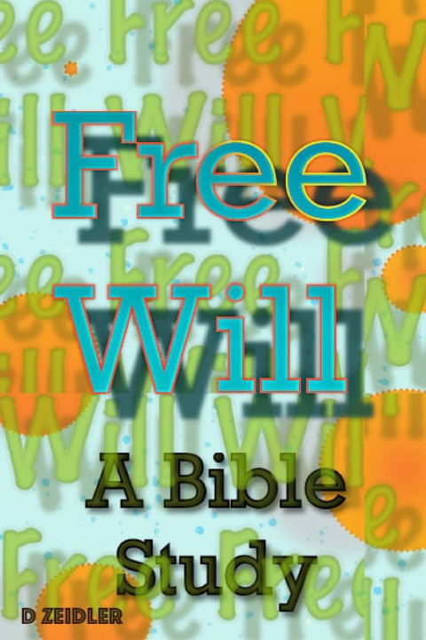 Knjiga Free Will D Zeidler