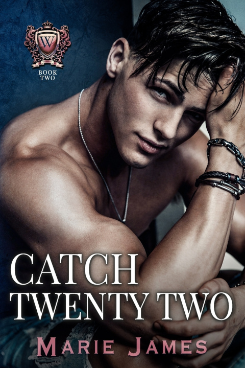 Kniha Catch Twenty Two Marie James