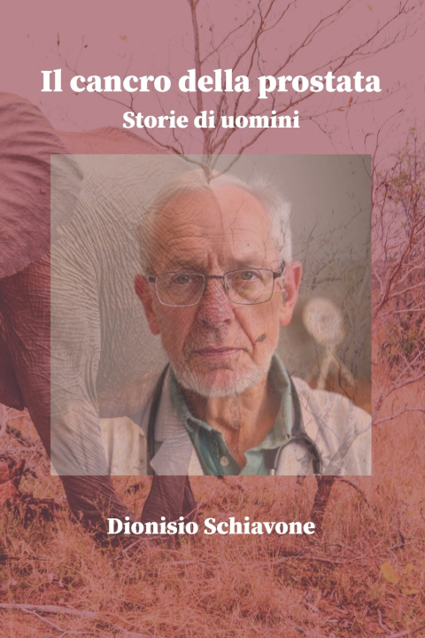 Kniha Il cancro della prostata Dionisio Schiavone