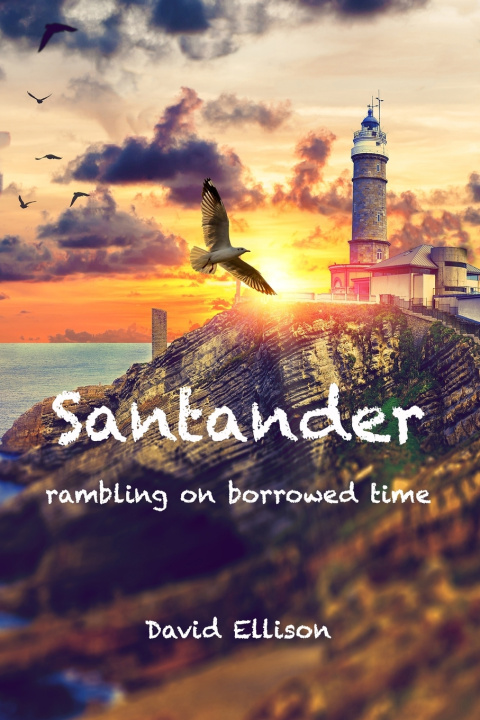 Kniha Santander David Ellison