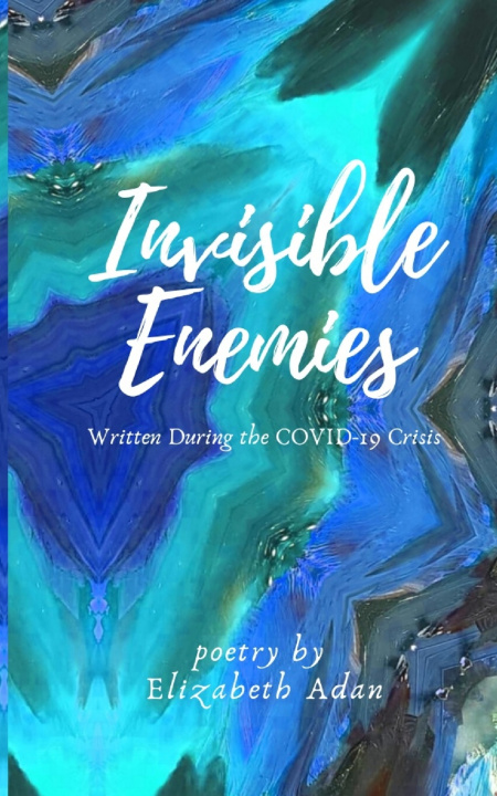 Kniha Invisible Enemies Elizabeth Adan