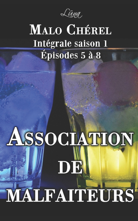Kniha Association de malfaiteurs Malo Chérel