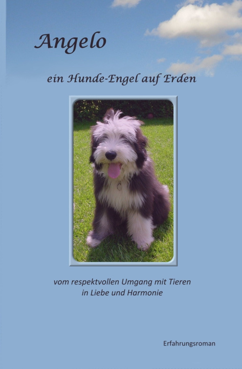 Knjiga Angelo Liesel Baumgart